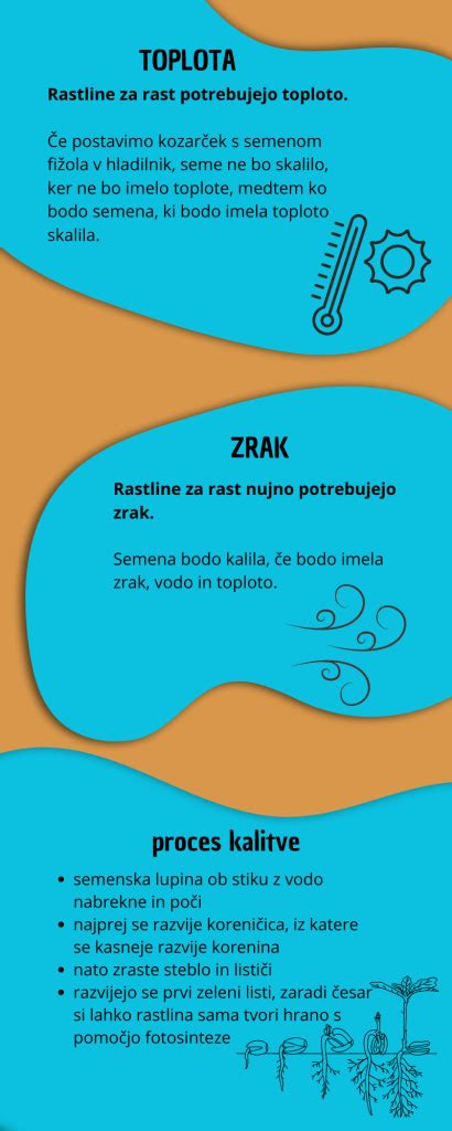 Infografika: Ideálne podmienky pre rast koreňov (teplota, svetlo, vlhkosť)