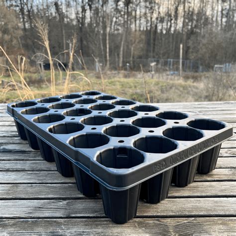 sadbovač s mladými rastlinkami rajčiakov