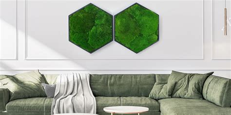 ilustračné foto rôznych druhov machu