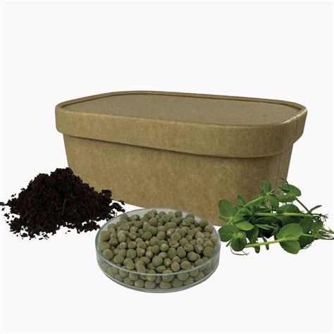 foto balenia spór machu na pestovanie