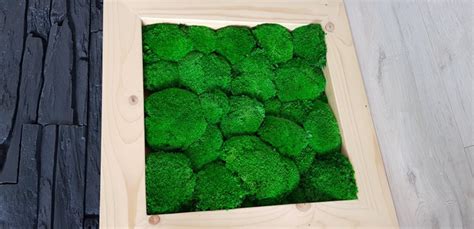 dekorácia zo stabilizovaného machu na stene