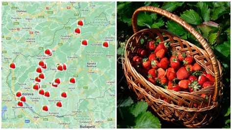 Ilustračná fotografia košíkov s jahodami