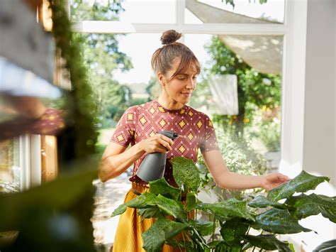 Základná starostlivosť o rastliny ako prevencia pred škodcami