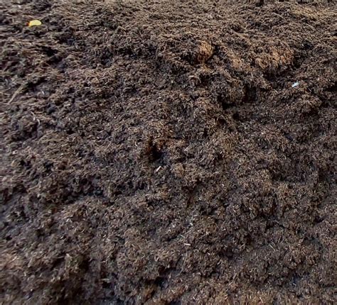 Ilustračná fotografia rôznych druhov píniovej kôry s označením veľkosti.