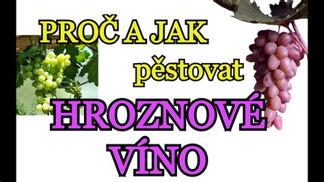 Inštrumentálne znázornenie procesu lisovania hrozna
