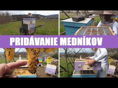 Ilustrácia umiestnenia materskej mriežky a včelej medzery