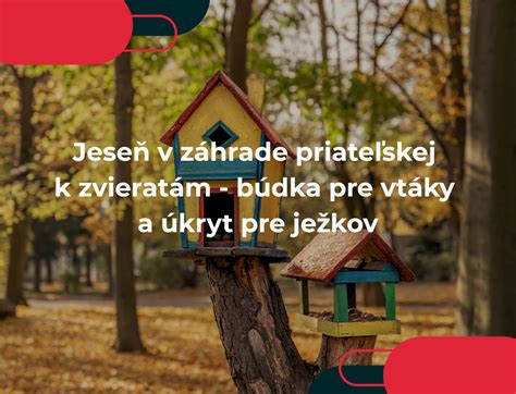 Ilustrácia záhrady priateľskej k opeľovačom