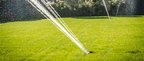 fotografia: Zdravá a svieža záhrada zavlažovaná automatickým systémom
