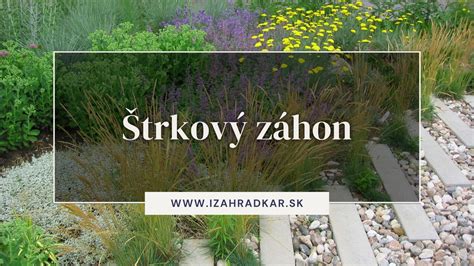 štrkový záhon s rôznymi druhmi trvaliek