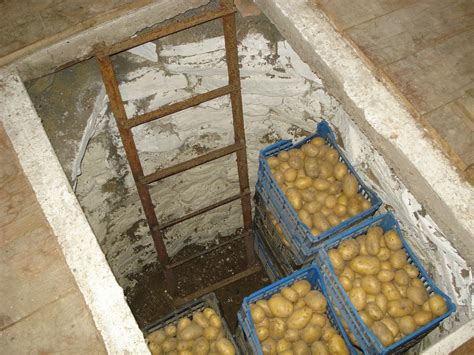 sposoby skladovania zemiakov