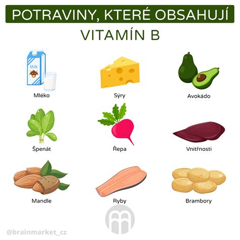 infografika: liečivé účinky a vitamíny v hubách