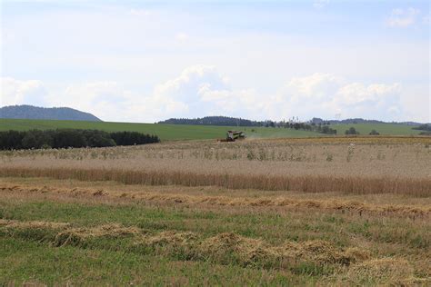 Staroveké poľnohospodárske polia s pšenicou a jačmeňom