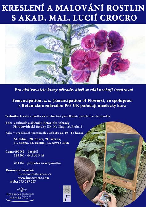 Botanická kresba ihlice rolnej s detailmi listov a kvetov