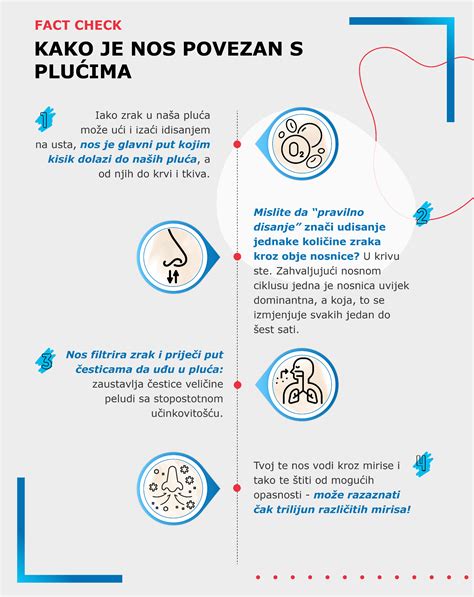 Infografika znázorňujúca prípravu a použitie žihľavového hnojiva