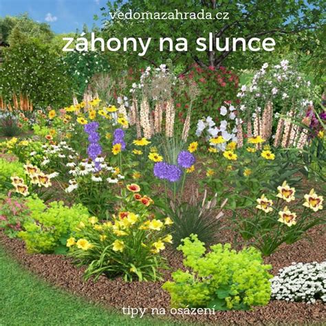 Záhon s kvitnúcou hlohyňou šarlátovou