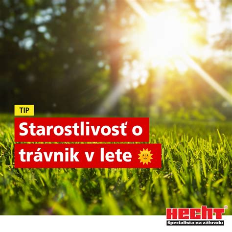 Schéma sezónnej starostlivosti o trávnik s vyznačeným obdobím pre jesenné hnojenie