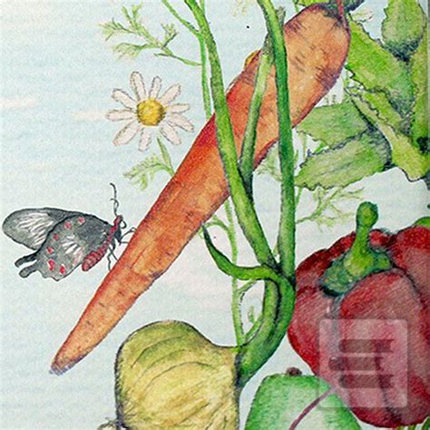 grafika výživných rastlín pre vesmírne misie (hrášok, mrkva, paradajky)