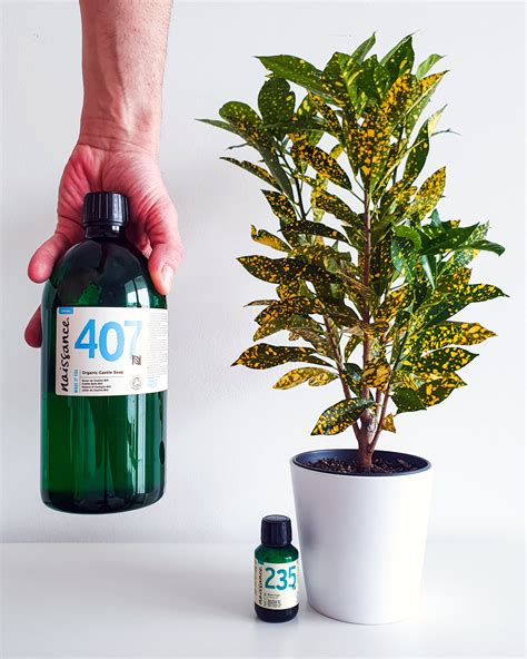 Infografika o hlavných chemických zložkách bergamotového oleja a ich účinkoch