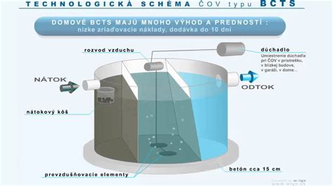 Ilustrácia znázorňujúca proces príjmu vody rastlinami pomocou osmózy, kapilárneho efektu a transpirácie.
