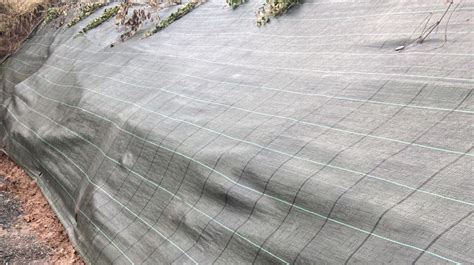 Schéma výsadby melónov na čiernu netkanú textíliu pre lepšie prehriatie pôdy