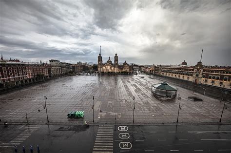 Fotografia: Aleja pyramídových topoľov