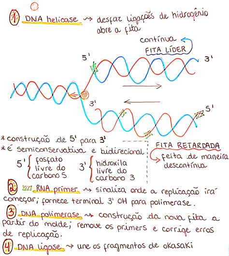 Snímka: vkladanie a upevňovanie osnovných prútikov do dna