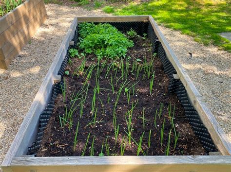 Výsadba rastlín vo vyvýšených záhonoch