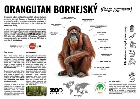 Porovnávacia infografika: rozdiel medzi penetráciou oleja, lazúrou a lakovou vrstvou na povrchu dreva