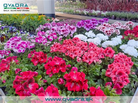 Rôzne typy substrátov pre rastliny