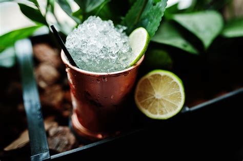 Detail borievky 'Mint Julep' s charakteristickými svetlozelenými ihlicami a mierne previsnutými výhonmi