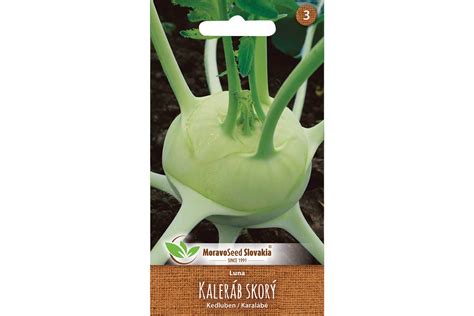 Ilustrácia správneho rozmiestnenia sadeníc kalerábu