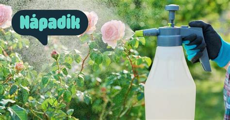 Tematické foto: roľník aplikujúci postrek na zemiakové pole skoro ráno