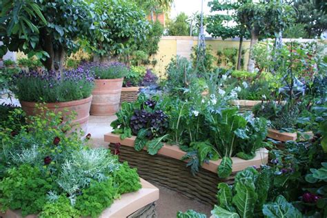 Precízne usporiadaná záhrada alebo balkón s bylinkami a zeleninou