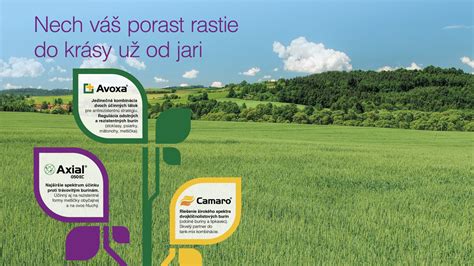 Ilustrácia rôznych rastových fáz burín a obilnín pre správne načasovanie aplikácie herbicídov