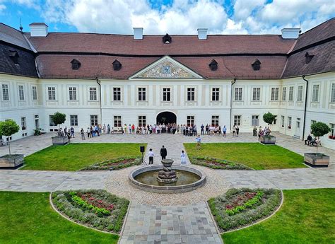 Tematická fotografia vinohradov vo Svätom Petre s historickým pozadím