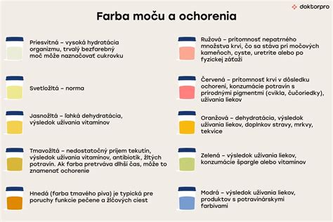Infografika znázorňujúca proces odberu vzorky moču na cytologické vyšetrenie