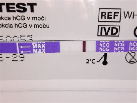 Schéma zberu 12-hodinového moču od 18:00 do 6:00