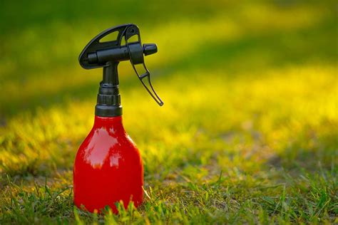 Domáce postreky proti burine (ocot, soľ, saponát)