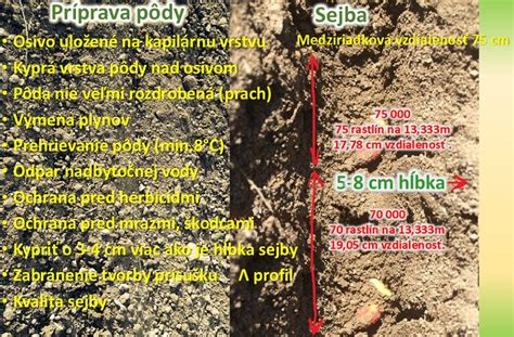 štruktúra pôdy po predsejbovej príprave