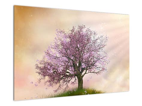 Ilustračná fotografia rozkvitnutého broskyňového stromu na jar.