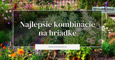 infografika znázorňujúca dobré a zlé kombinácie rastlín