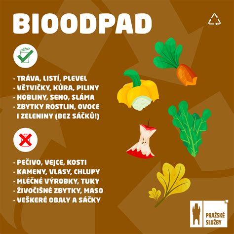 infografika: Zloženie komunálneho odpadu s dôrazom na bioodpad