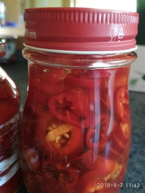 čerstvý cesnak, čili papričky a suroviny na nálev