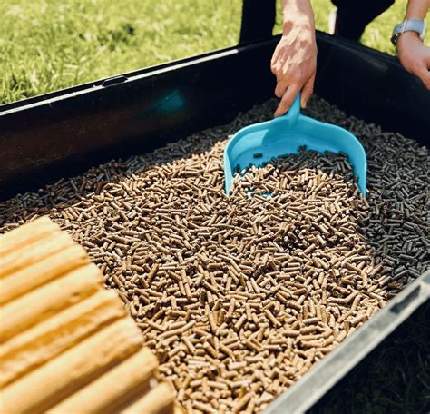 Zblízka kukuričných vretien, z ktorých sa vyrába podstielka