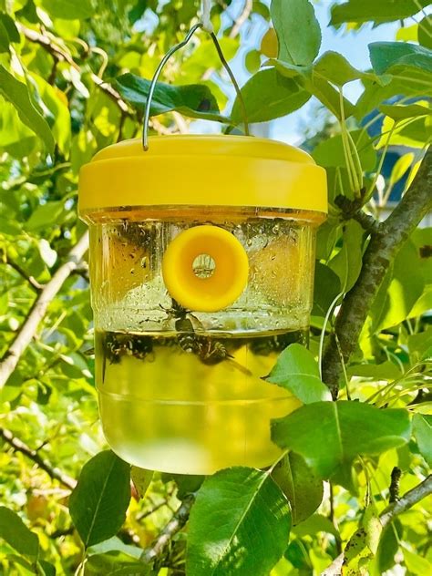 Ilustrácia správneho použitia spreja proti hmyzu v interiéri