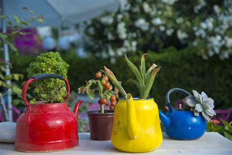 Ilustrácia rôznych starých plechových nádob, ktoré môžu byť použité ako kvetináče