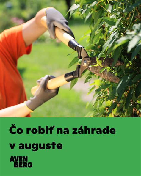 fotografia mladého duba alebo procesu šetrného zberu kôry