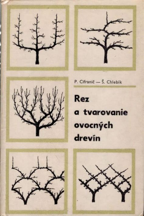 Ilustrácia správnej výsadby ovocných drevín