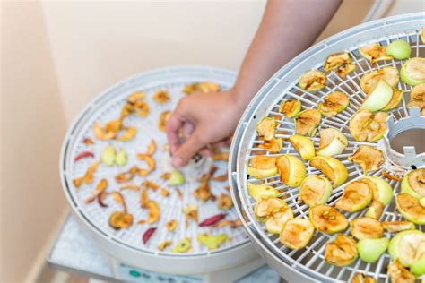 Schéma sezónneho spracovania broskýň: čerstvá konzumácia, sušenie, mrazenie a zaváranie.