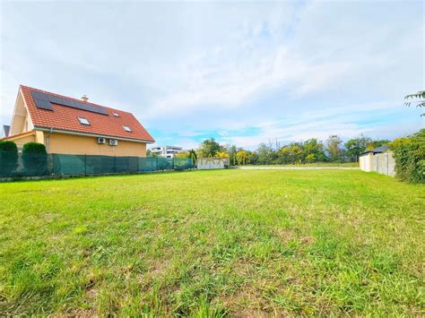 Lúka s topoľmi v dunajskej lužnej oblasti